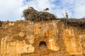 Ruins of the medieval fortified Muslim necropolis of Chellah in Rabat, Morocco Royalty Free Stock Photo